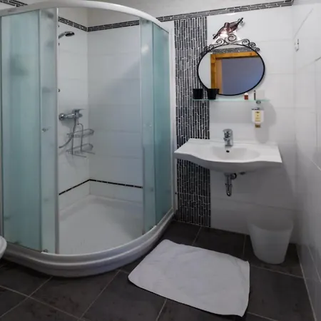 Πανσιόν Stari Tisler