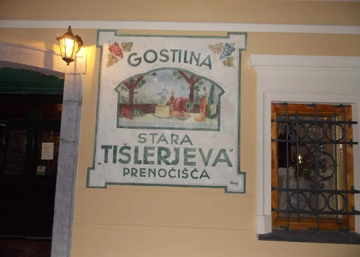 Hiša za goste Stari Tisler